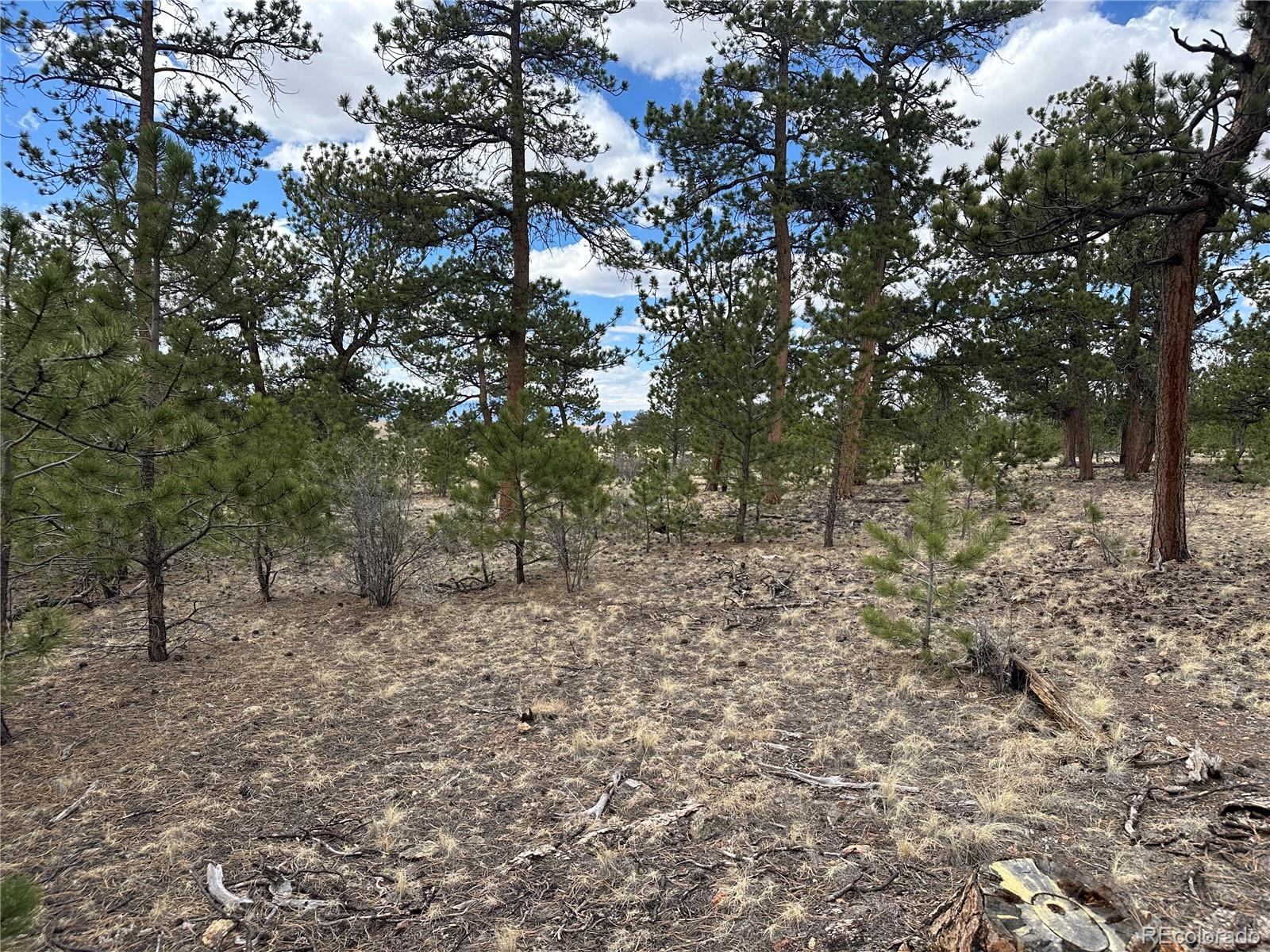 Chicha Road Hartsel, CO 80449 - Photo 19 of 22