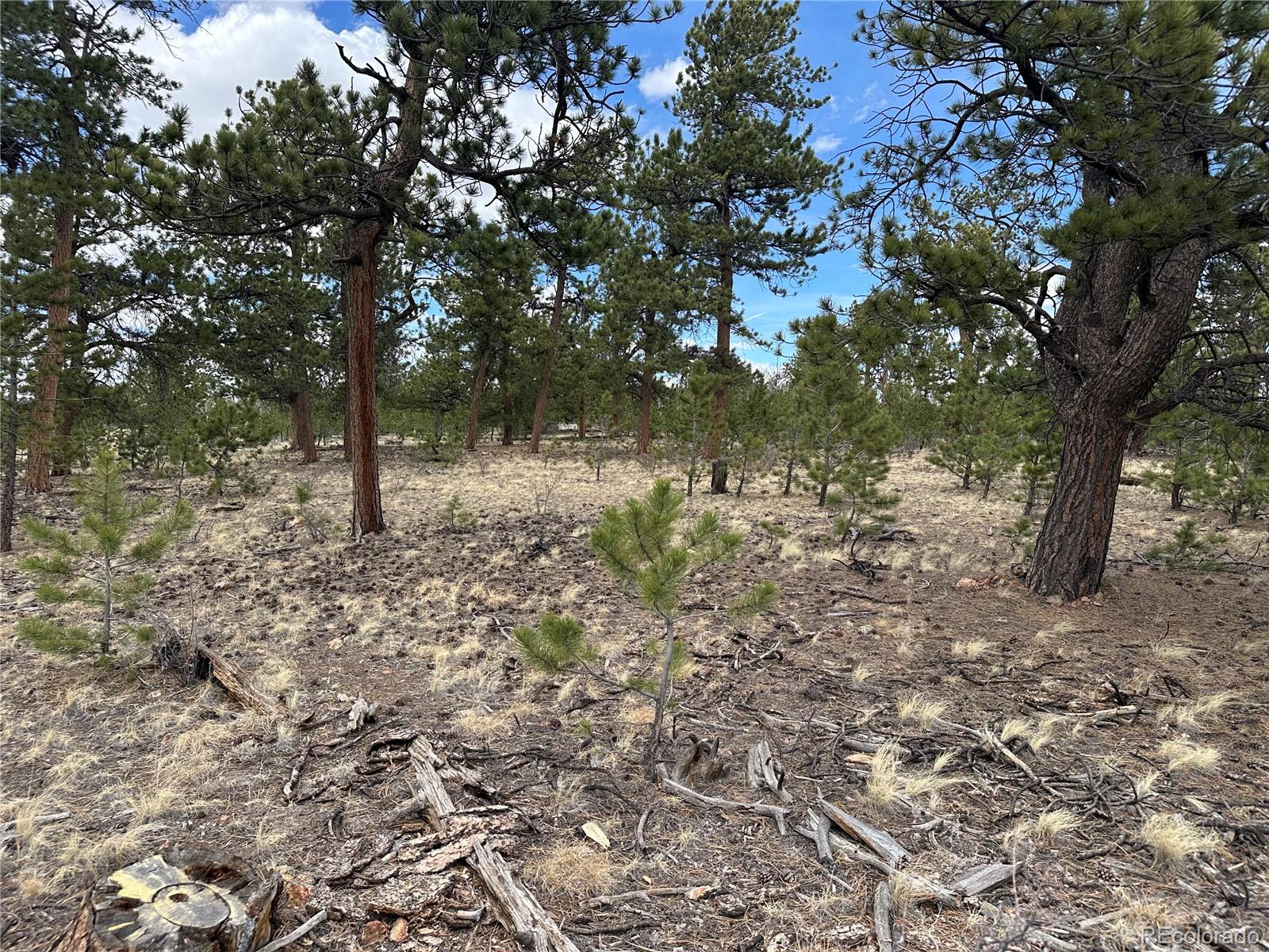 Chicha Road Hartsel, CO 80449 - Photo 20 of 22