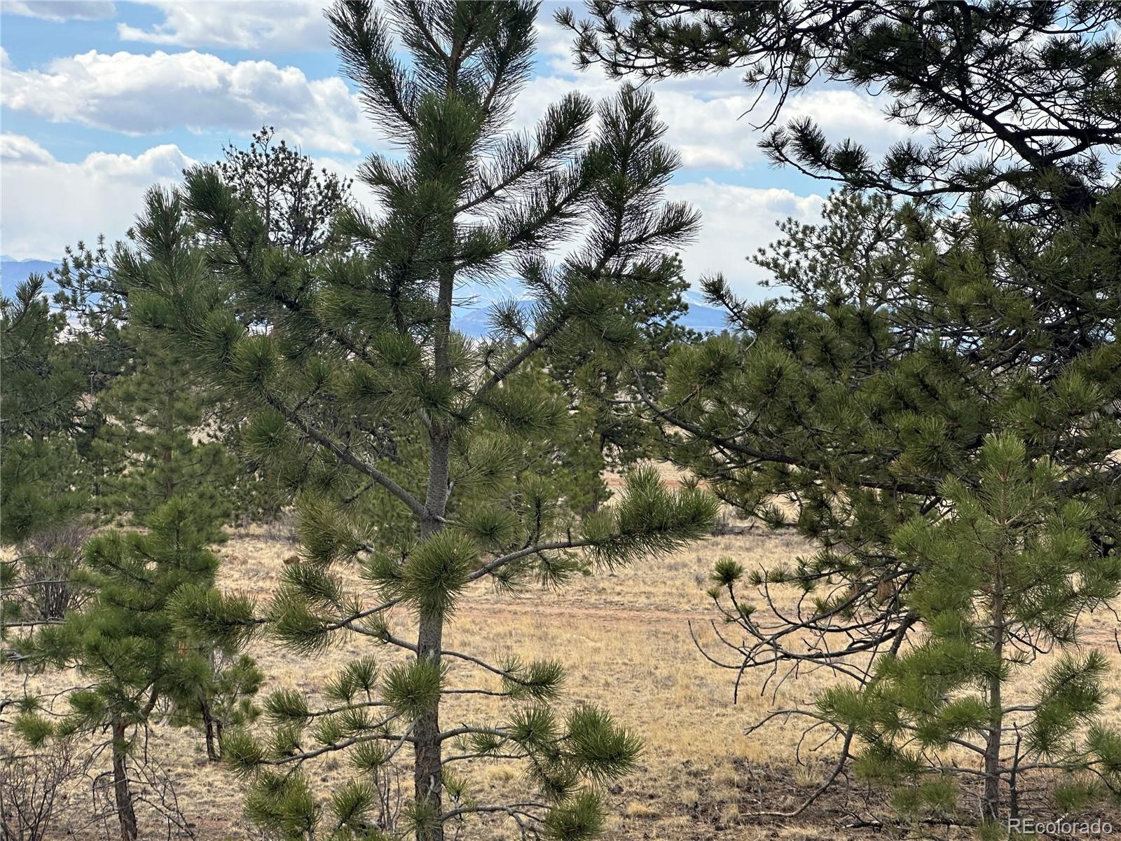 Chicha Road Hartsel, CO 80449 - Photo 2 of 22