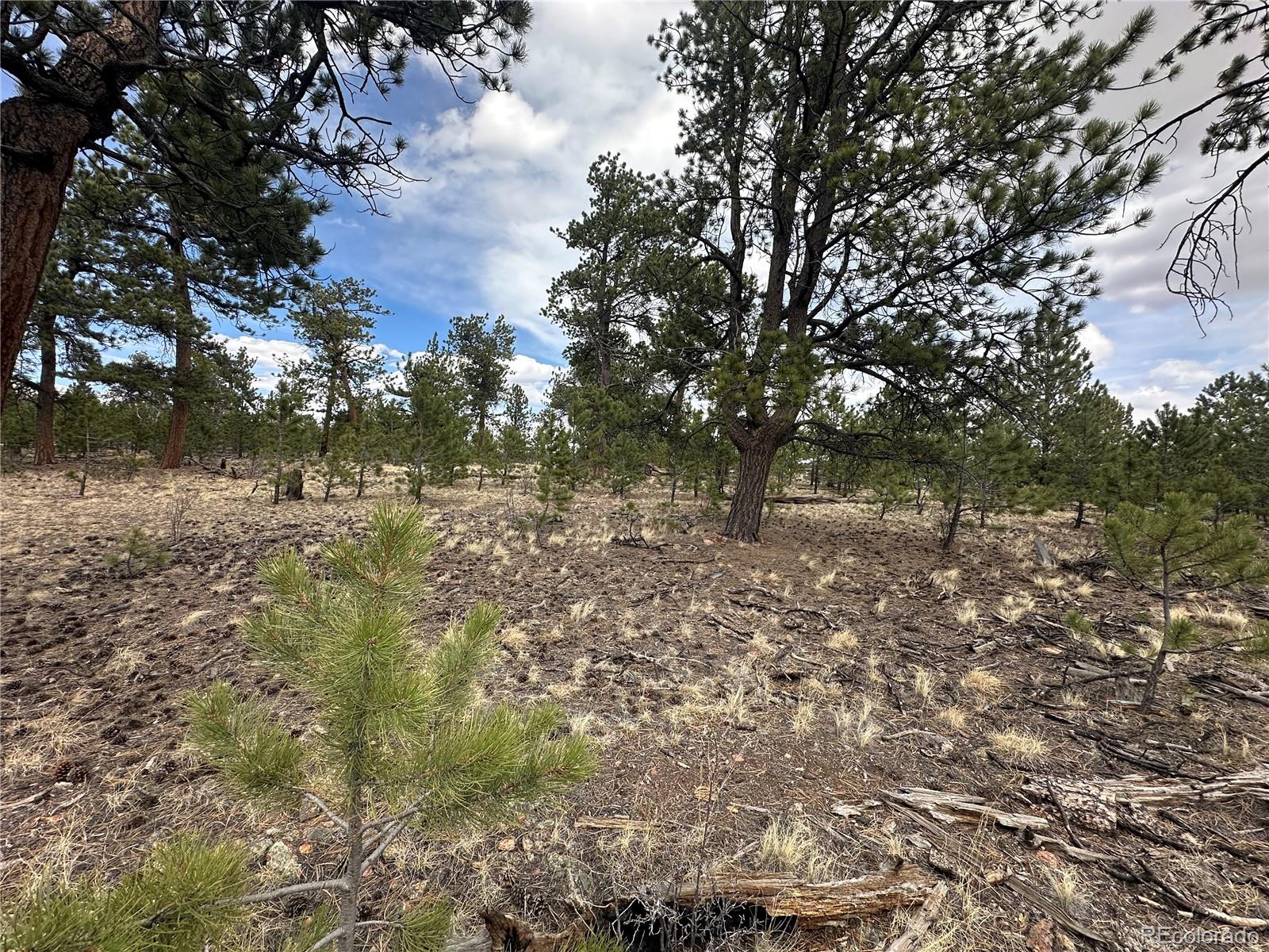 Chicha Road Hartsel, CO 80449 - Photo 21 of 22