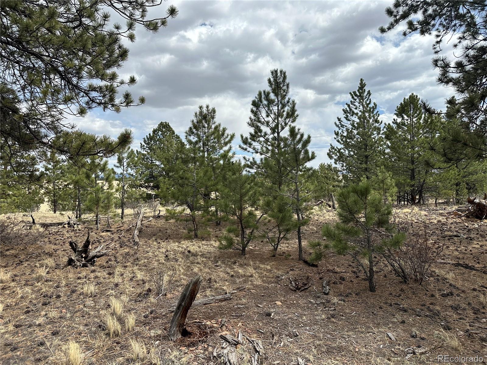 Chicha Road Hartsel, CO 80449 - Photo 22 of 22