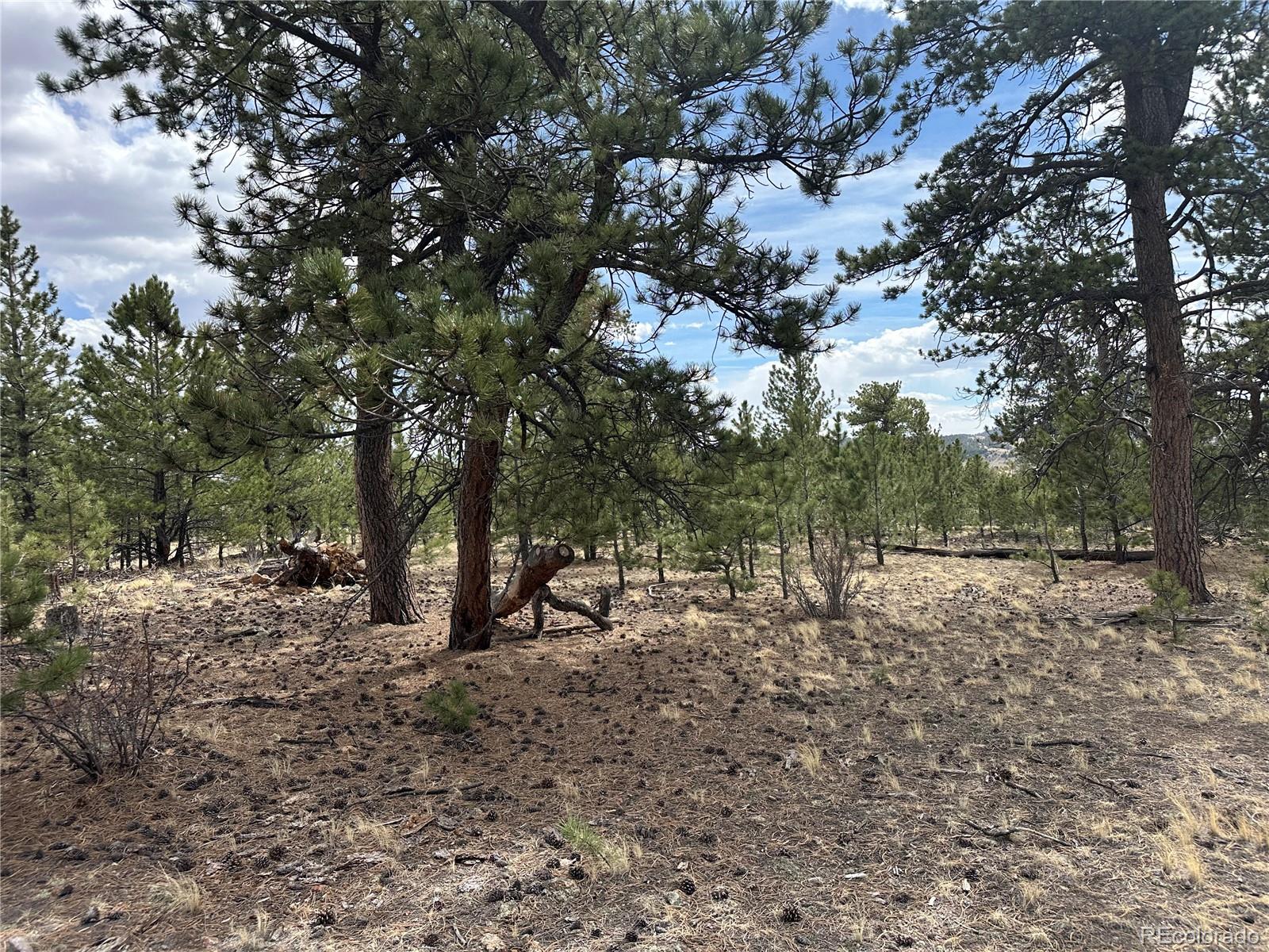 Chicha Road Hartsel, CO 80449 - Photo 3 of 22