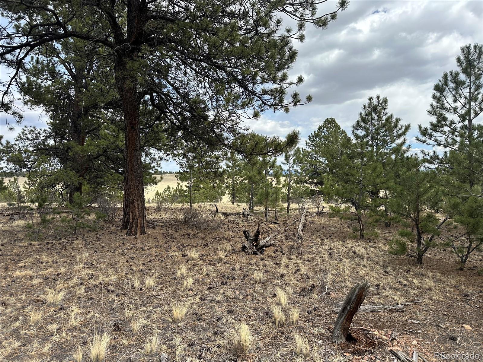 Chicha Road Hartsel, CO 80449 - Photo 4 of 22