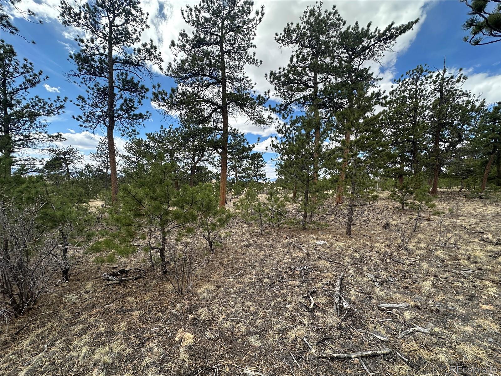 Chicha Road Hartsel, CO 80449 - Photo 5 of 22