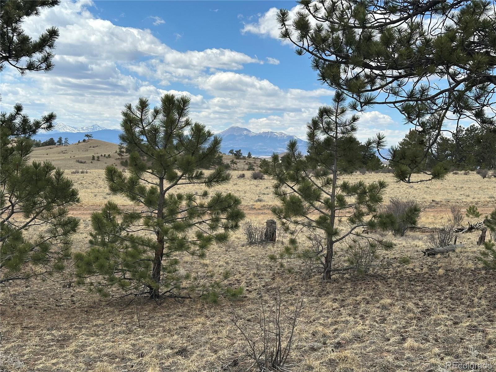 Chicha Road Hartsel, CO 80449 - Photo 6 of 22