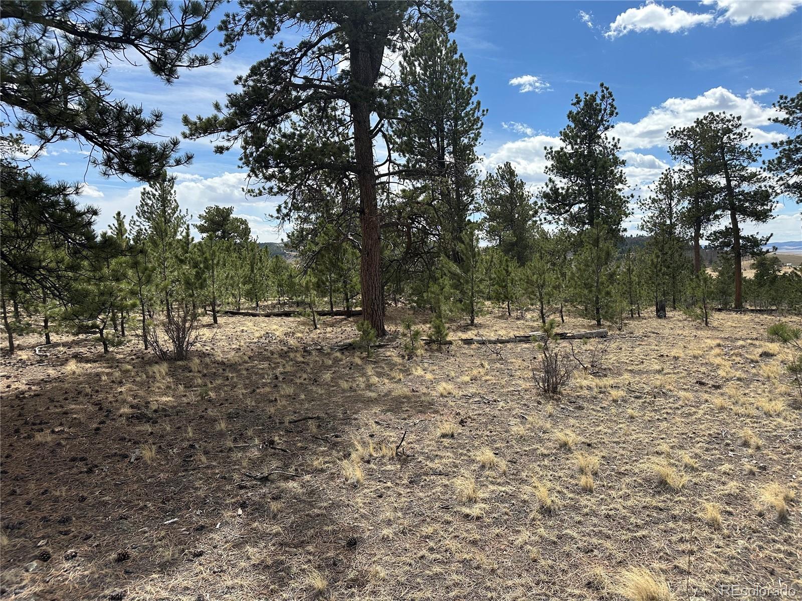 Chicha Road Hartsel, CO 80449 - Photo 7 of 22