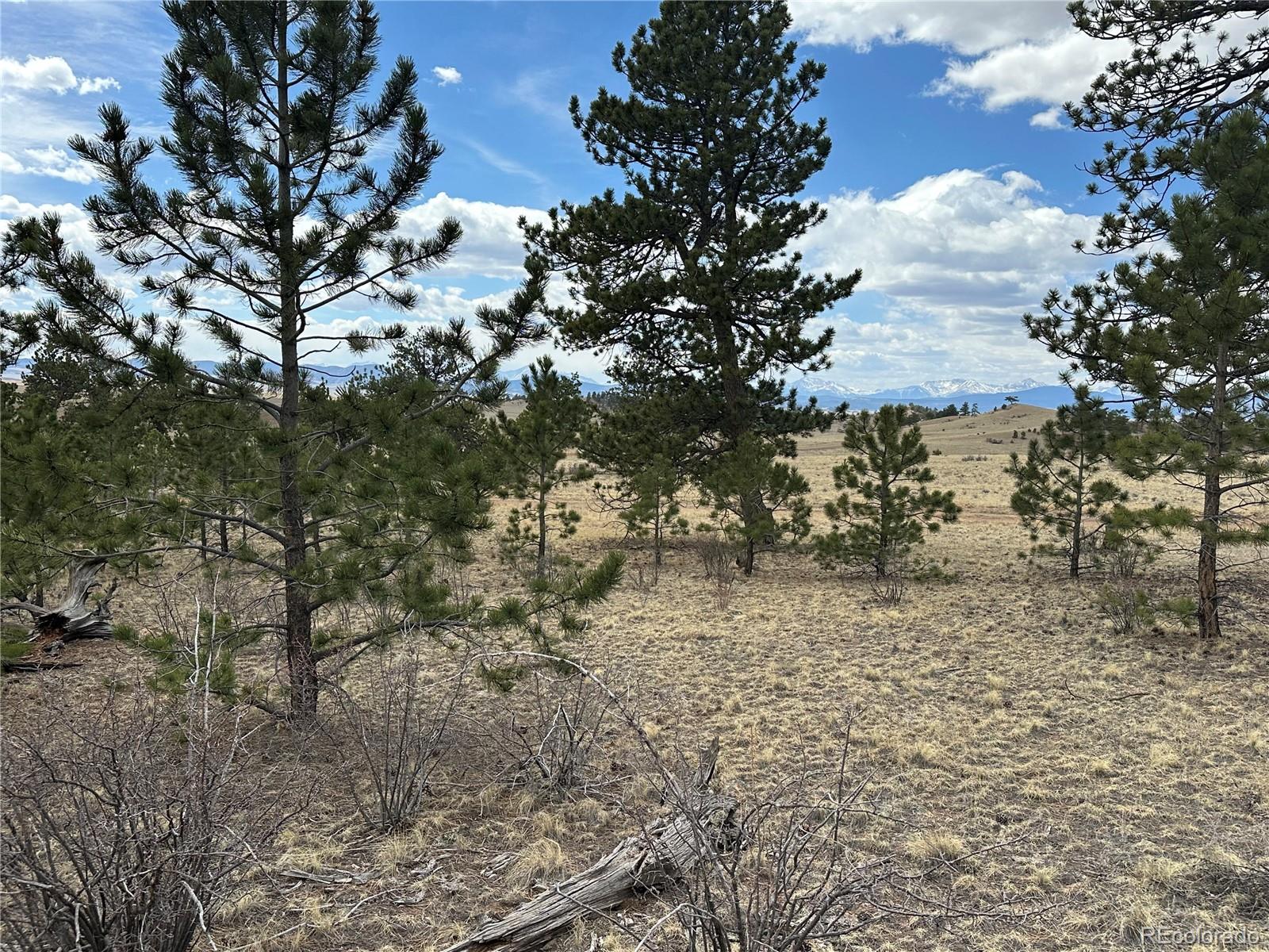 Chicha Road Hartsel, CO 80449 - Photo 8 of 22