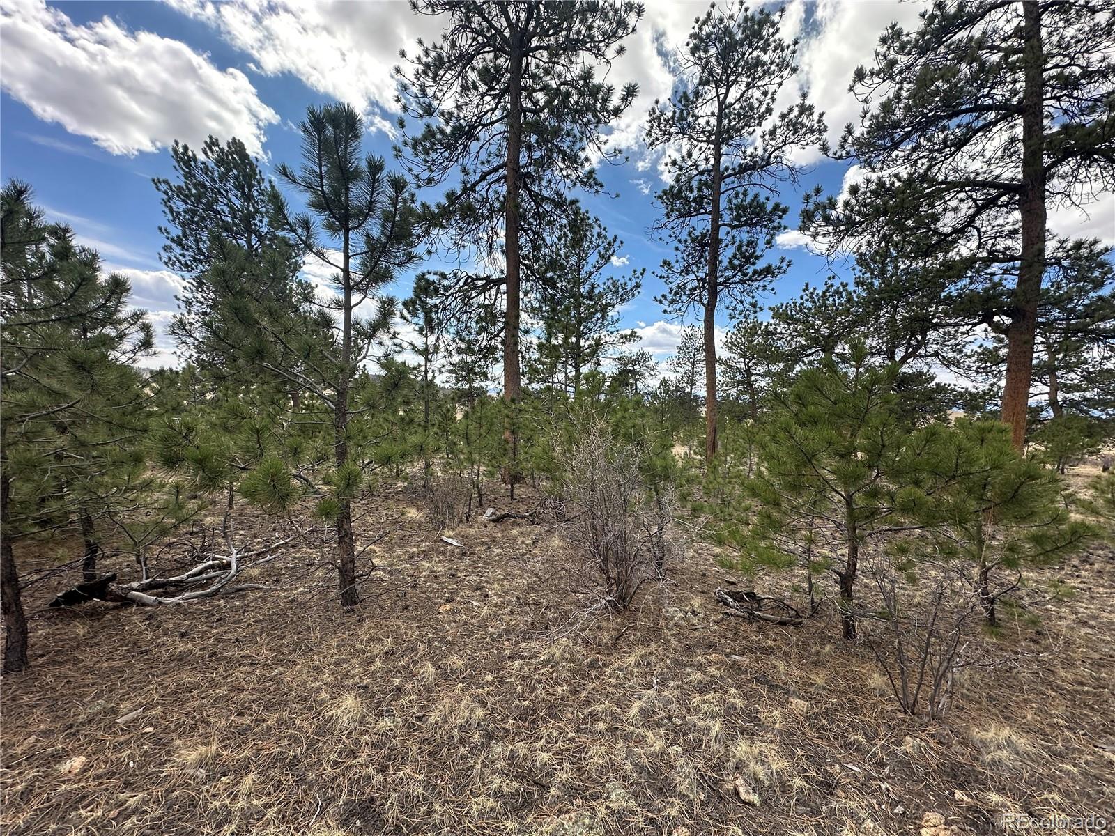 Chicha Road Hartsel, CO 80449 - Photo 9 of 22