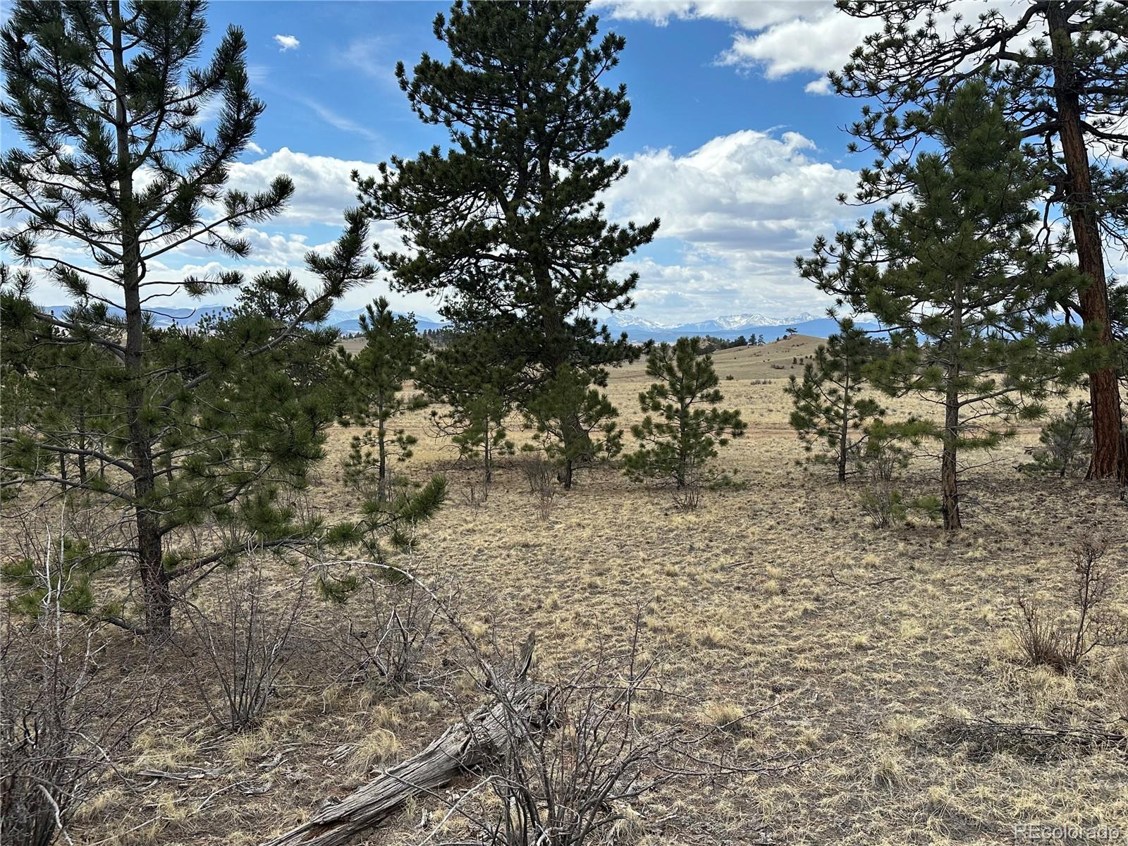 Chicha Road Hartsel, CO 80449 - Photo 10 of 22