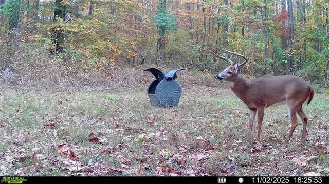 $1 | 0 Turner Drive, Reidsville, NC 27320