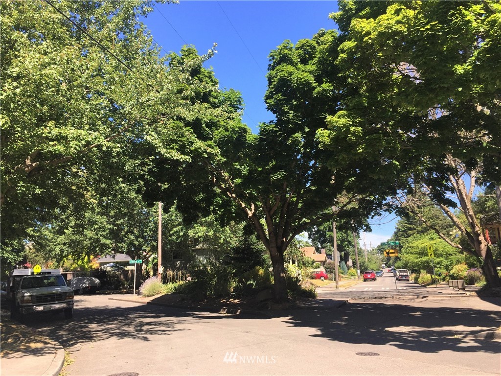 3301 York Road South Seattle, WA 98144 - Photo 7 of 21 a view of street with tree s