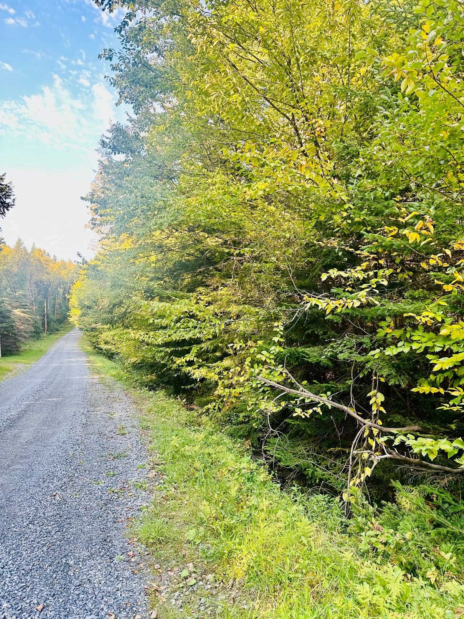 Lot #5 Beau Ridge Road, Unit 5 Wilmington, VT 05363 - Photo 2 of 7 Gallery Image 2
