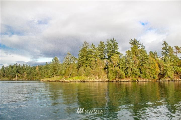 340 Blind Bay Road Shaw Island, WA 98286 - Photo 8 of 18 Gallery Image 8