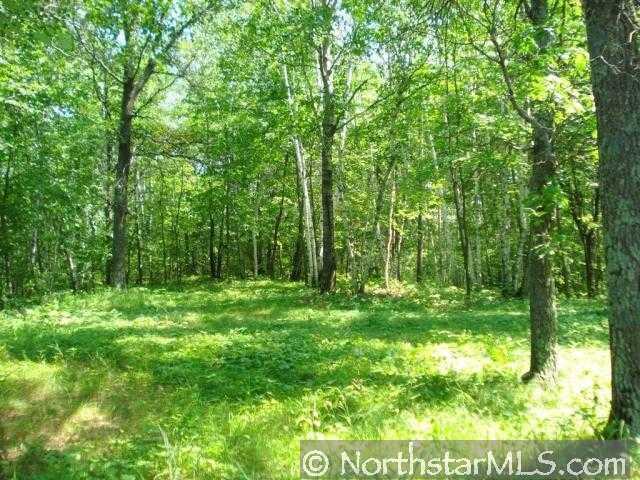 Tbd 195th Avenue Fort Ripley, MN 56449 - Photo 1 of 1 Gallery Image 1