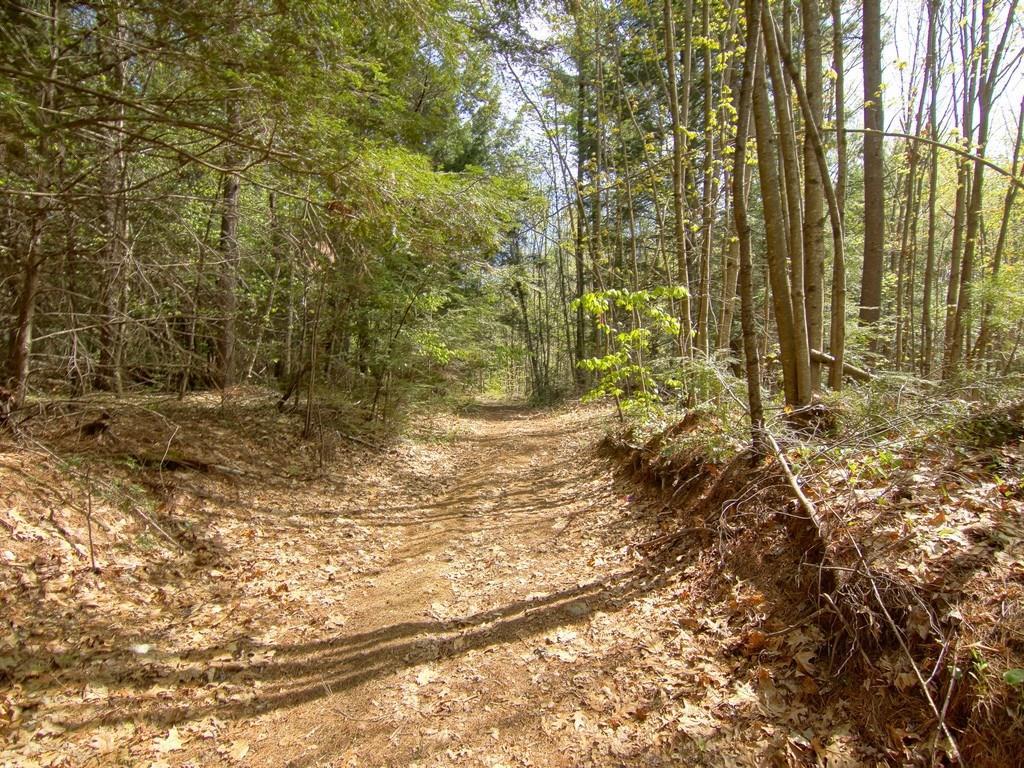 0 Blackberry Hill Road Berwick, ME 03901 - Photo 10 of 18 Meandering logging road takes you...