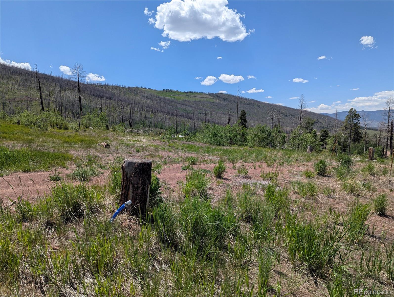904-908 Forbes Park Road Fort Garland, CO 81133 - Photo 16 of 16 a view of a big yard with green space
