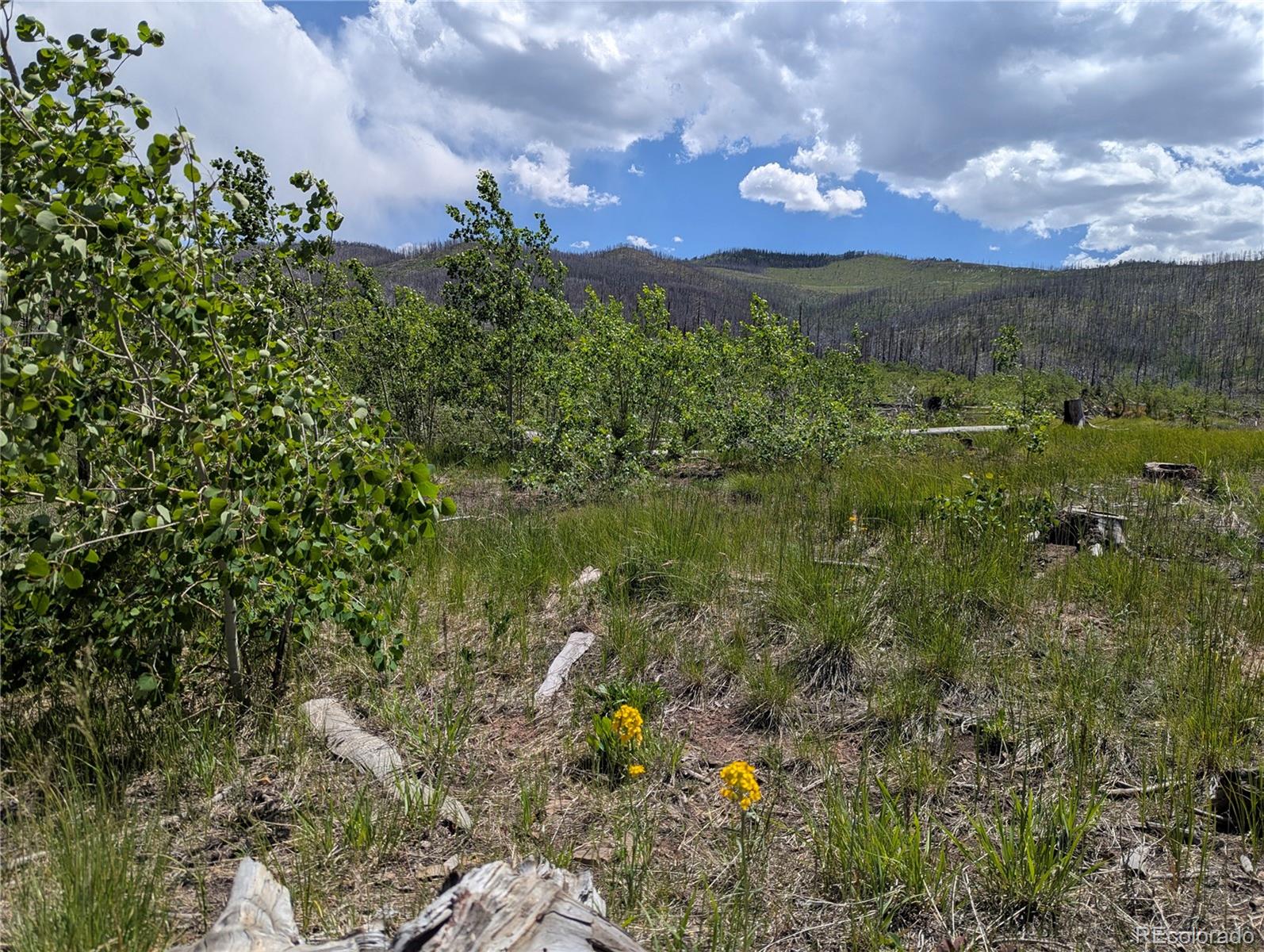 904-908 Forbes Park Road Fort Garland, CO 81133 - Photo 8 of 16 a view of a lake
