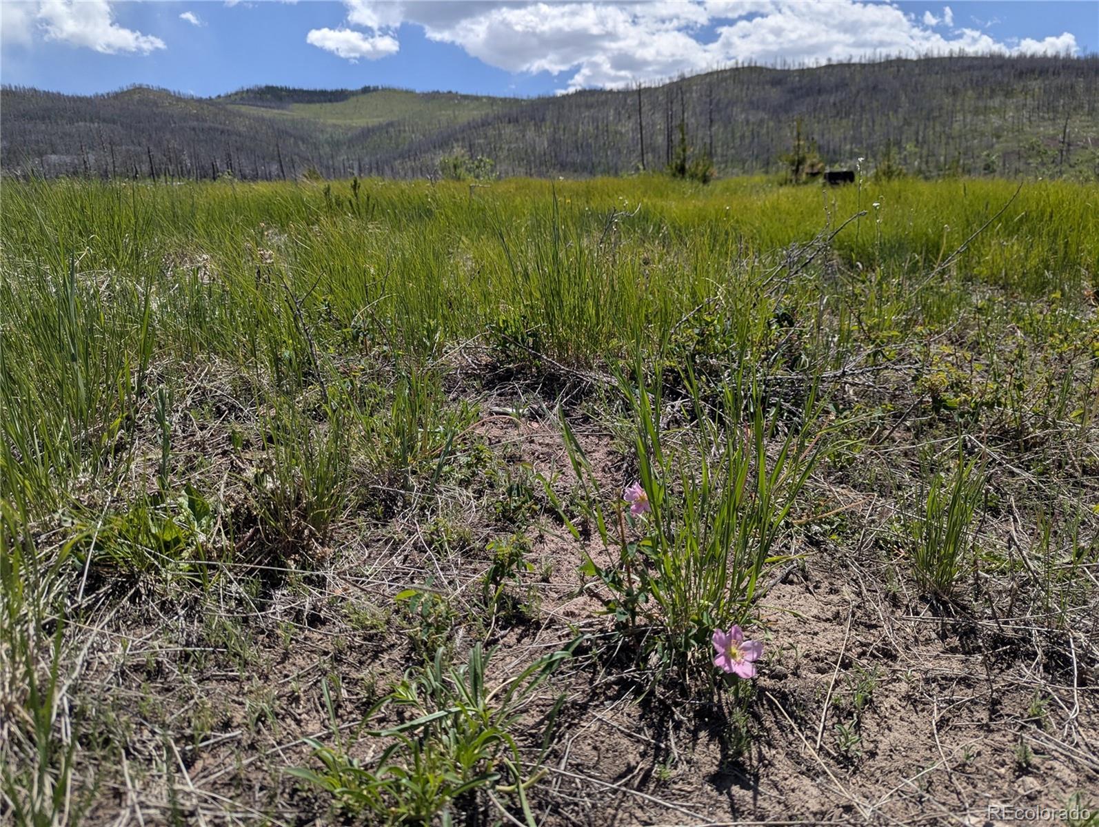 904-908 Forbes Park Road Fort Garland, CO 81133 - Photo 10 of 16 a view of a lush green outdoor space with a lake view