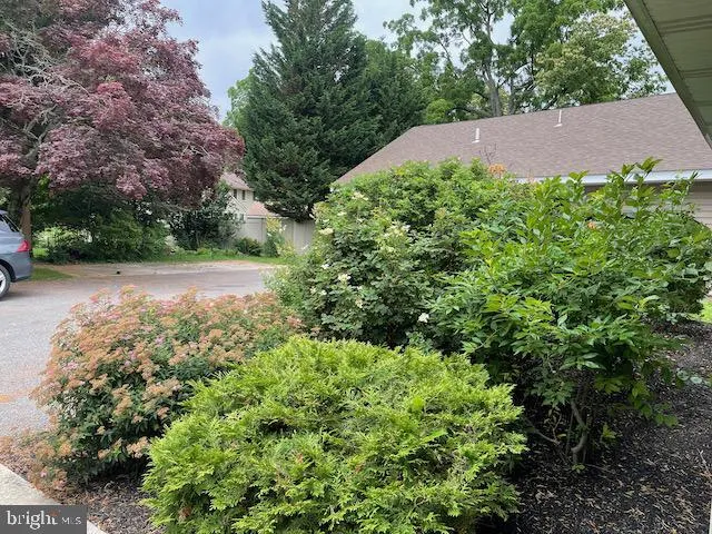an aerial view of a house with a yard and large trees