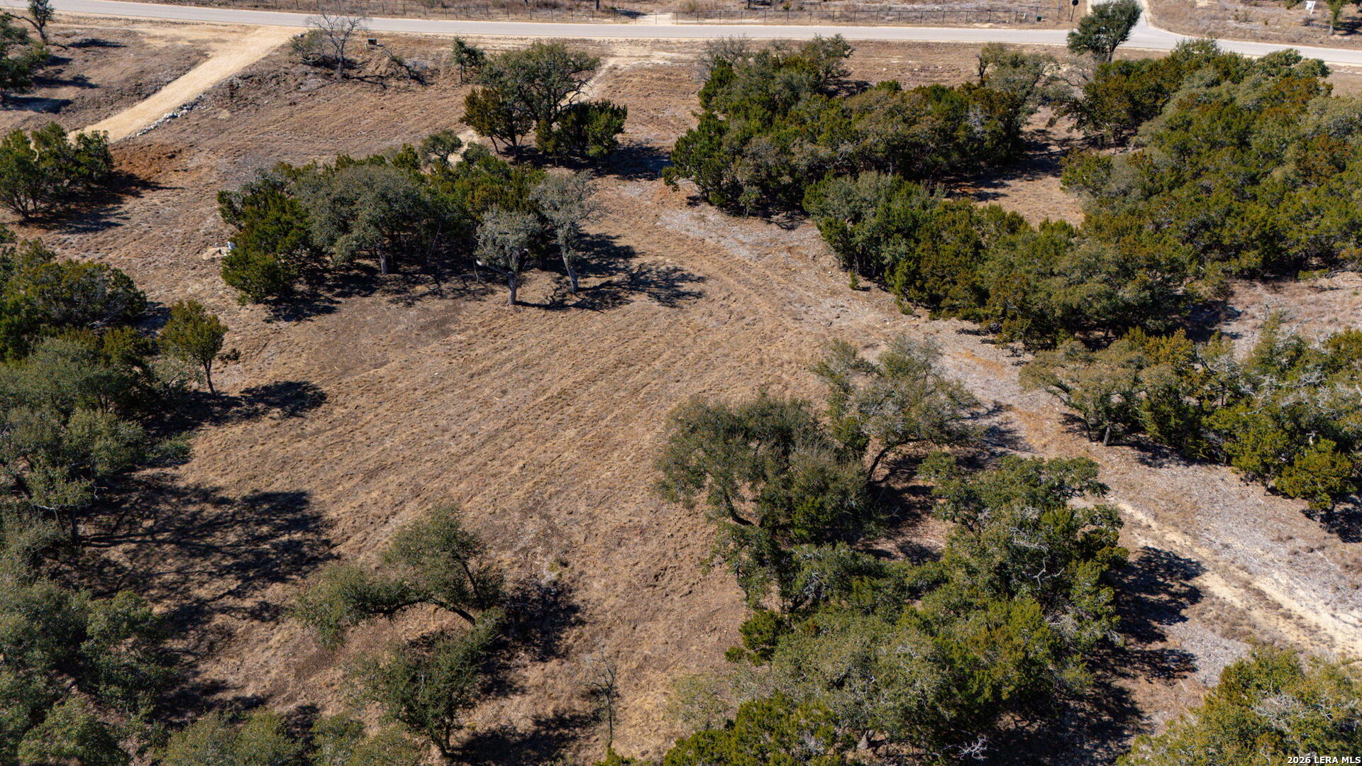 1201 Brewer Rdg Road Bulverde, TX 78163 - Photo 17 of 21 a view of a forest with trees