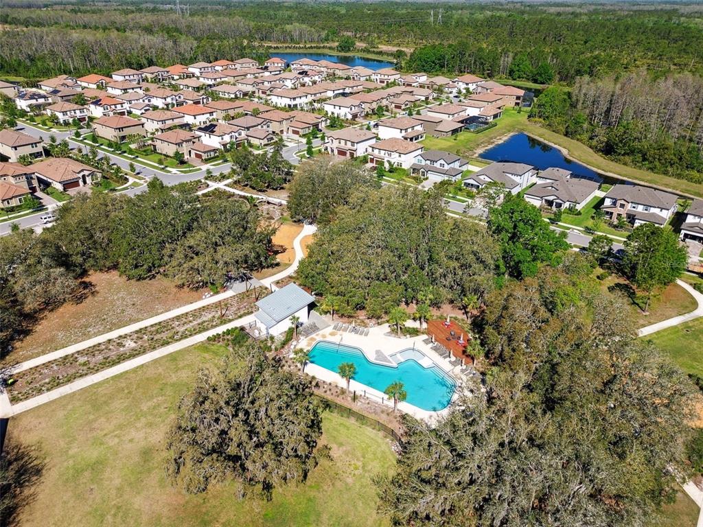 4215 Tatum Loop Odessa, FL 33556 - Photo 49 of 60