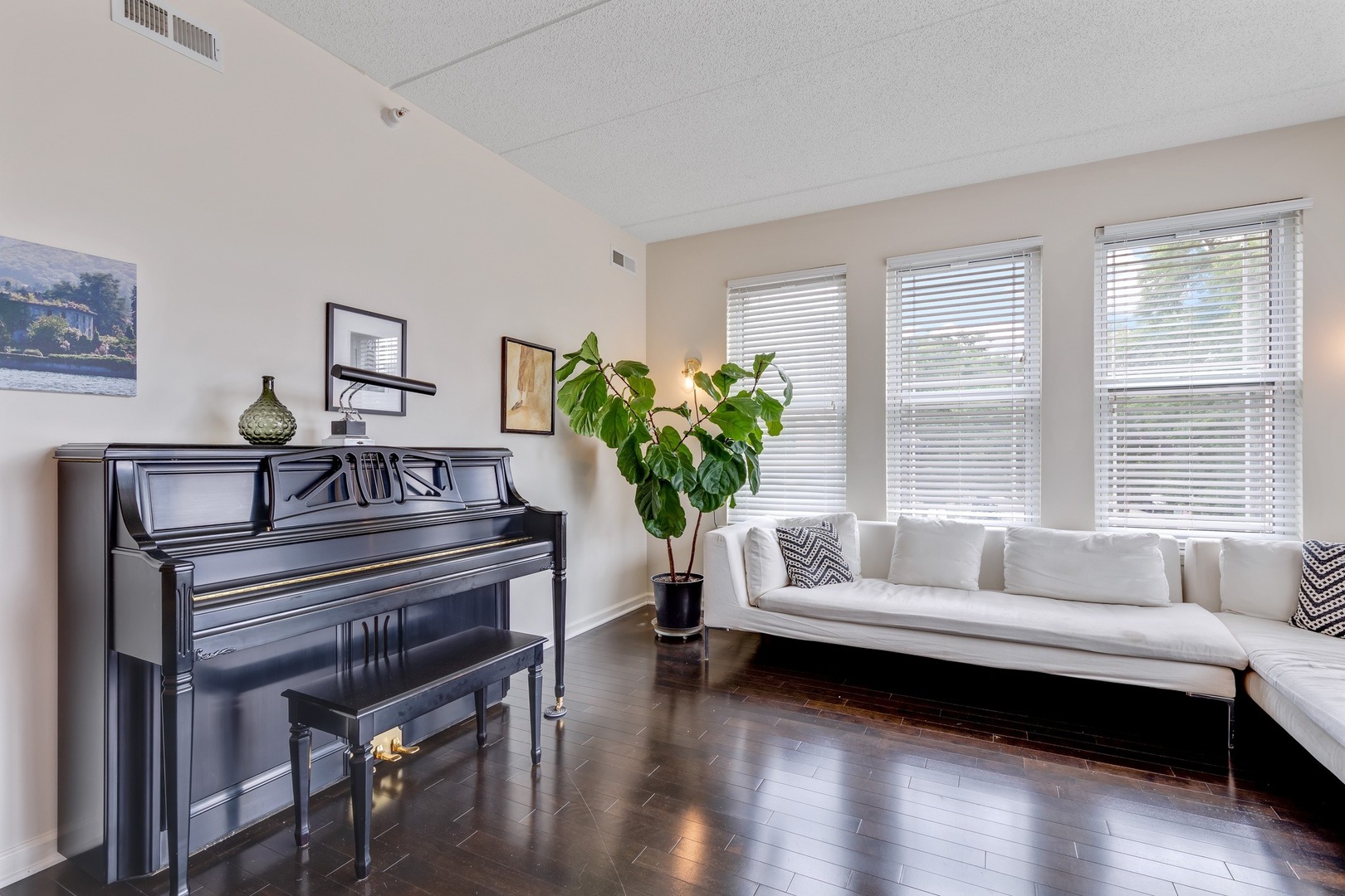 2935 Central Street, Unit 204 Evanston, IL 60201 - Photo 7 of 29 a living room with furniture and a potted plant