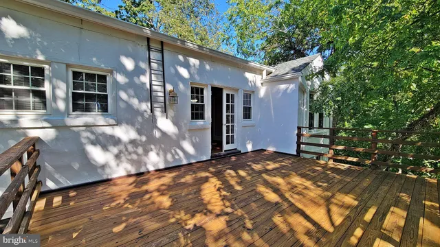 a view of backyard with large trees and plants