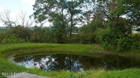 394 North Baker Road Waymart, PA 18472 - Photo 30 of 40