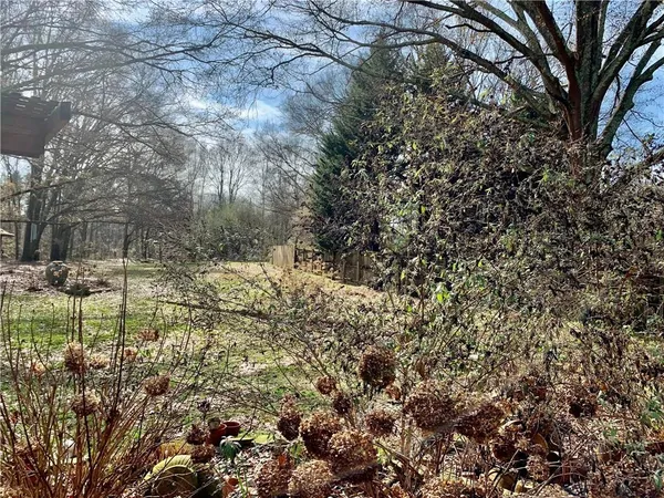 a view of a yard with a tree