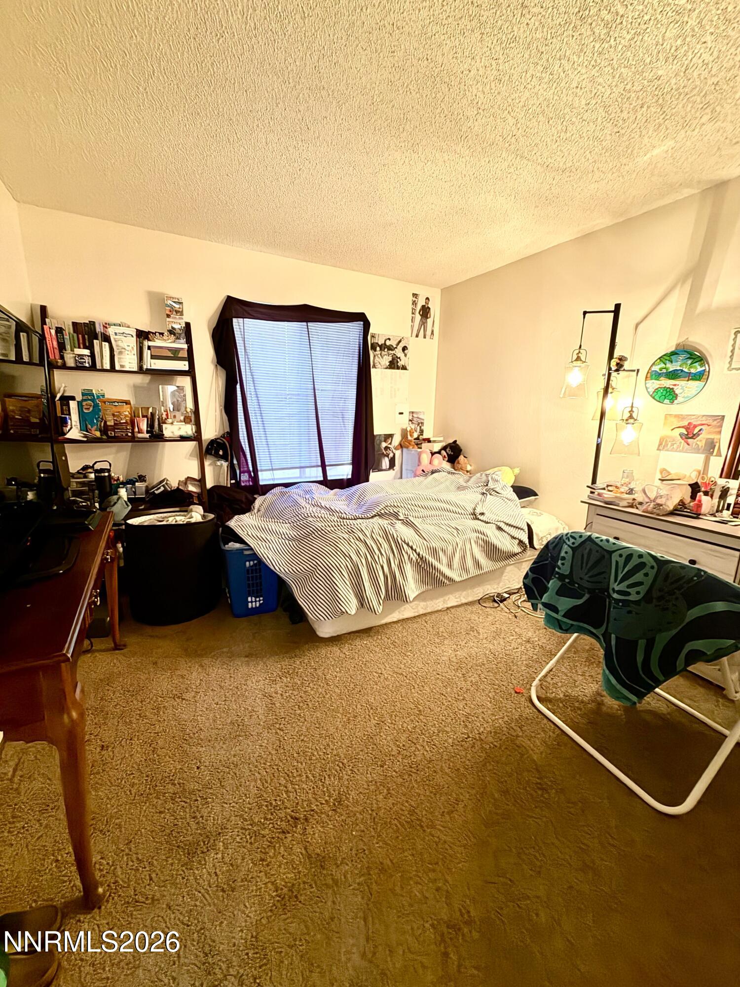 400 South Saliman Road, Unit 146 Carson City, NV 89701 - Photo 14 of 20 IMG_8399