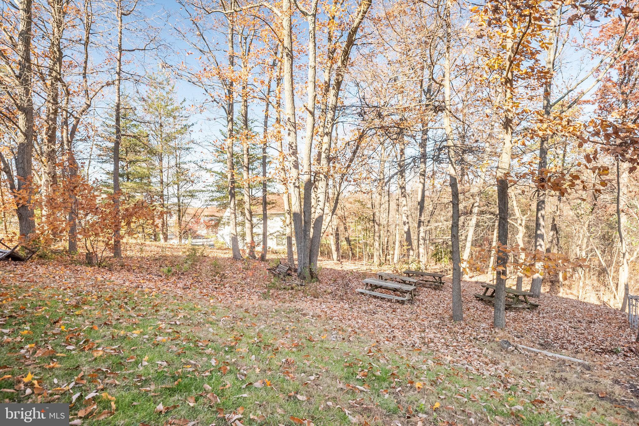 4204 Somerville Court Laurel, MD 20708 - Photo 55 of 59 Gallery Image 55