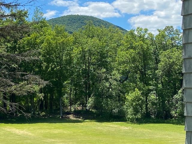 230 Walloomsac Road Bennington, VT 05201 - Photo 6 of 40