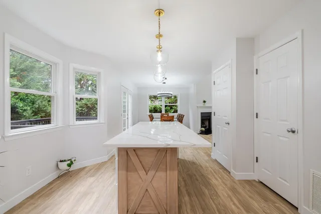 a kitchen with a sink a window and a potted plant