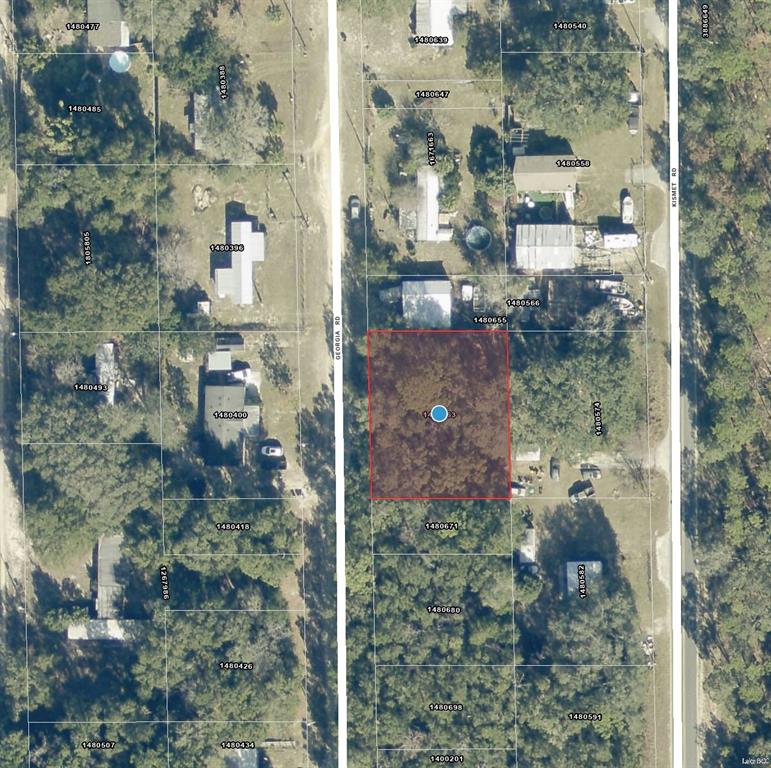 0 Georgia Road Altoona, FL 32702 - Photo 3 of 3