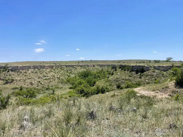 a view of a field with an ocean