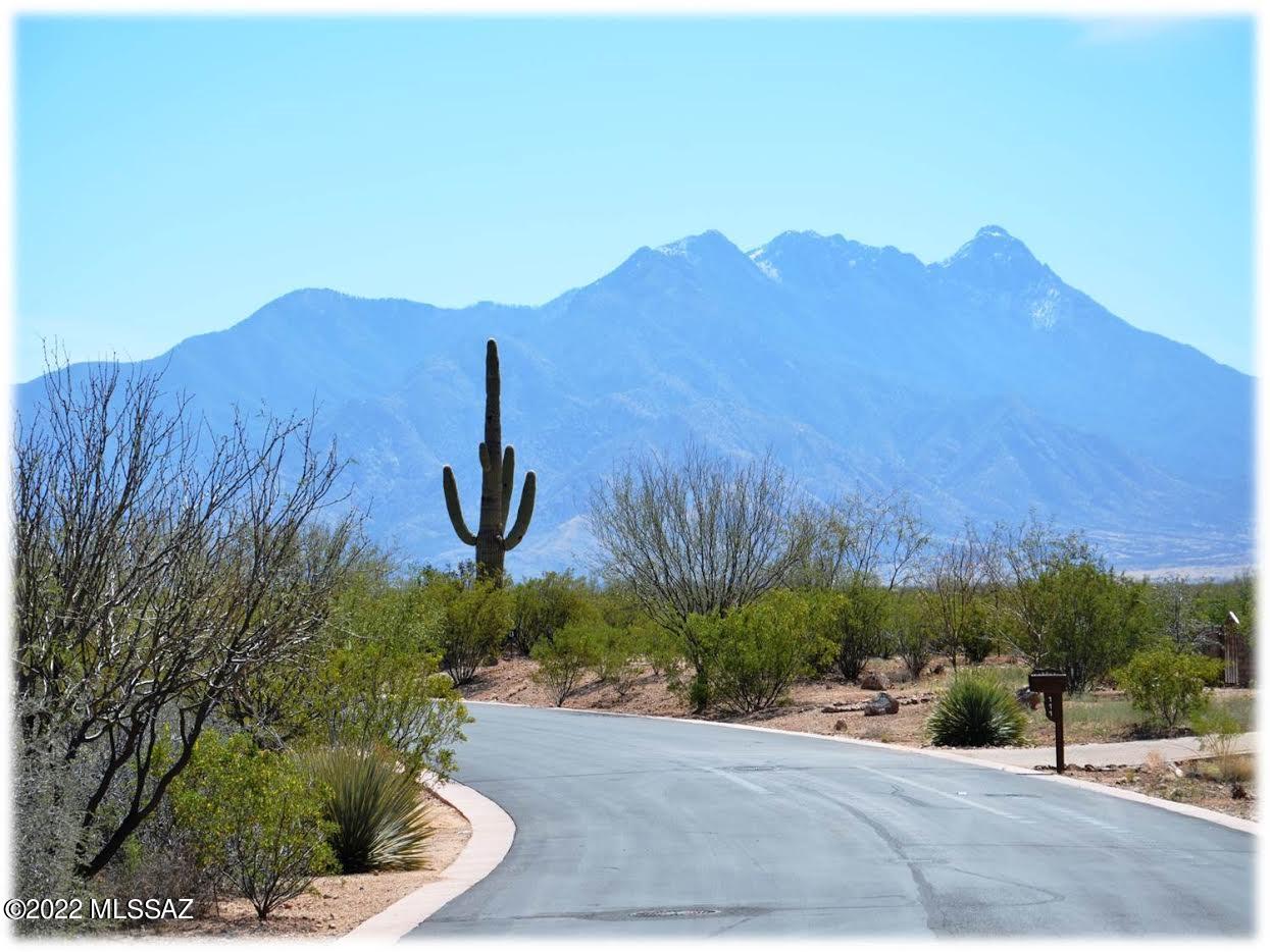 172 North Rustic Ridge Place, Unit 35 Sahuarita, AZ 85629 - Photo 3 of 14