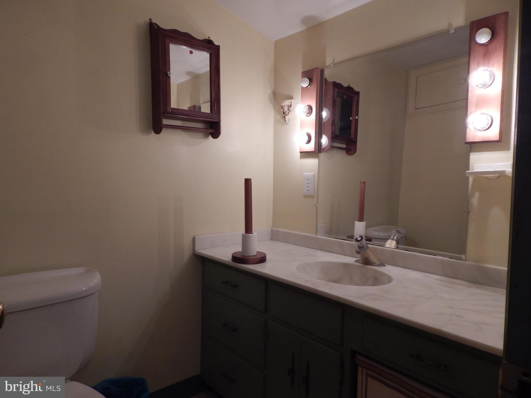 7701 Old Receiver Road Frederick, MD 21702 - Photo 23 of 41 Downstairs Bath