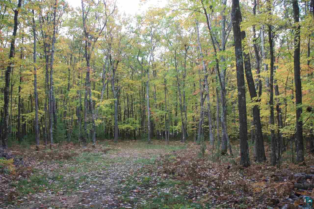6160 Iron Lake Road Iron River, WI 54847 - Photo 11 of 13 Gallery Image 11