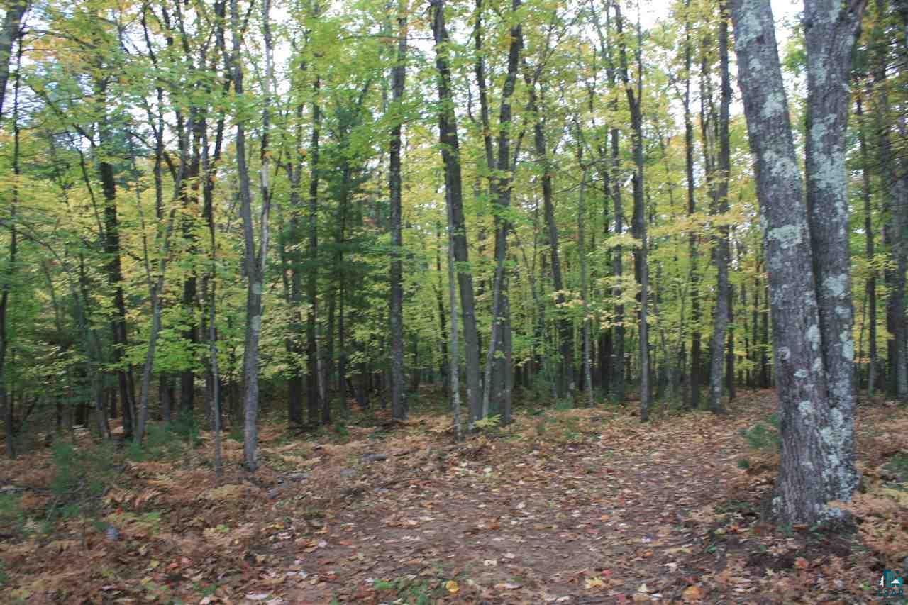 6160 Iron Lake Road Iron River, WI 54847 - Photo 5 of 13 Gallery Image 5
