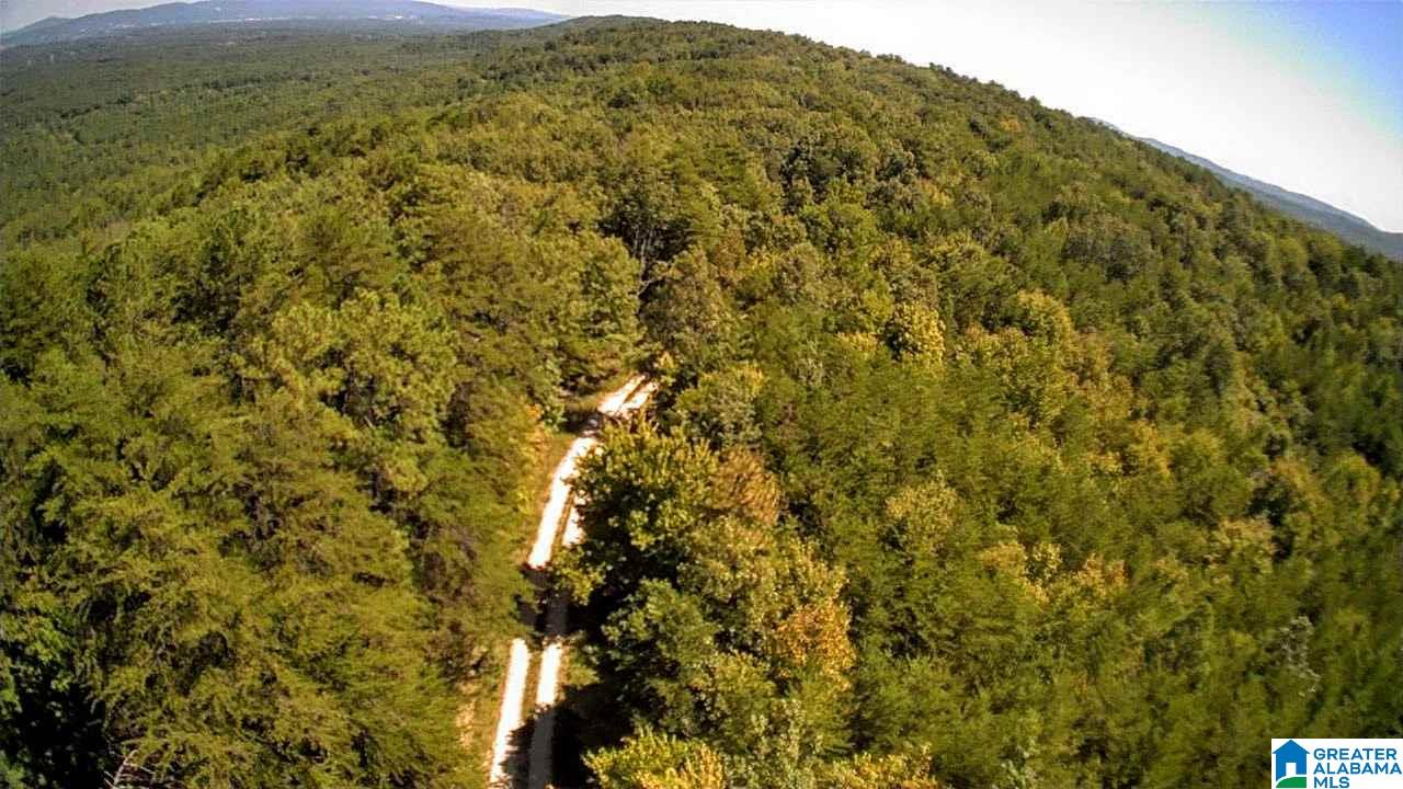 2565 Kentuck Road, Unit 4569 Oxford, AL 36203 - Photo 1 of 46