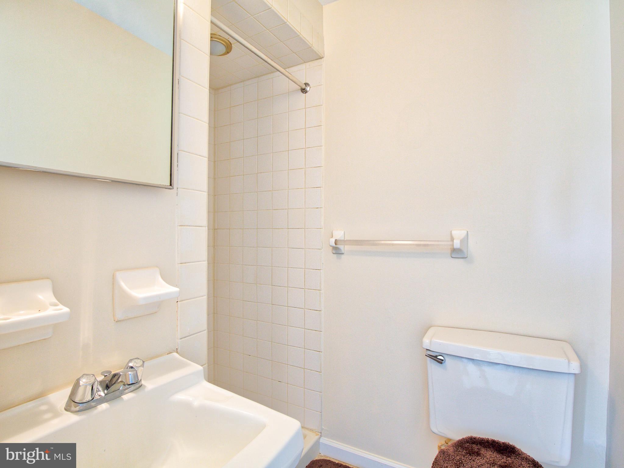 1274 Welltown Road Clear Brook, VA 22624 - Photo 25 of 35 Master bath