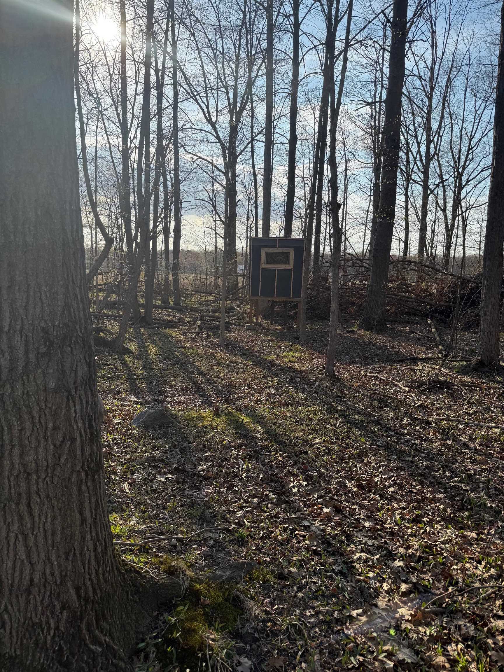12700 Sheridan Road Burt, MI 48417 - Photo 19 of 20