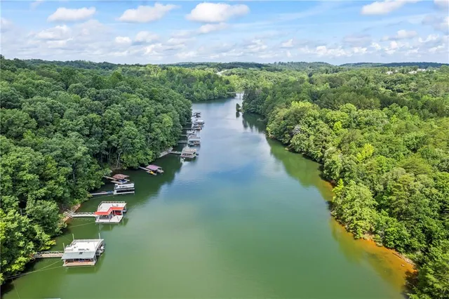 $835,000 | 88 Toto Creek Drive West, Dawsonville, GA 30534