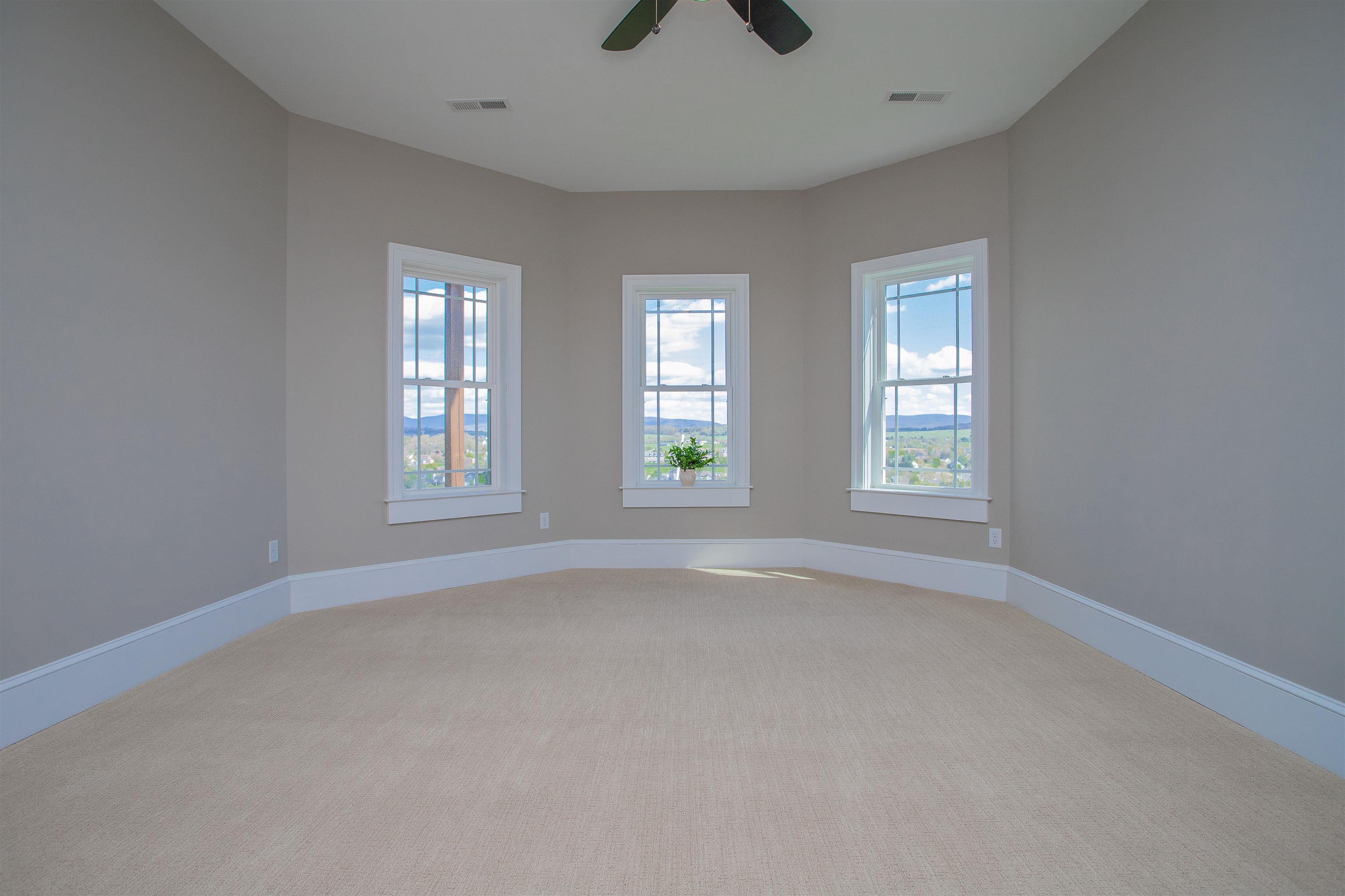 243 Barrenridge Road Fishersville, VA 22939 - Photo 63 of 75 an empty room with windows and ceiling fan