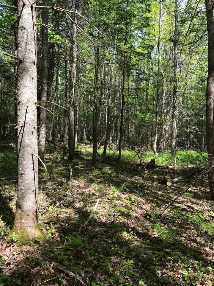 15-9a Hazen Road Enfield, NH 03748 - Photo 5 of 5