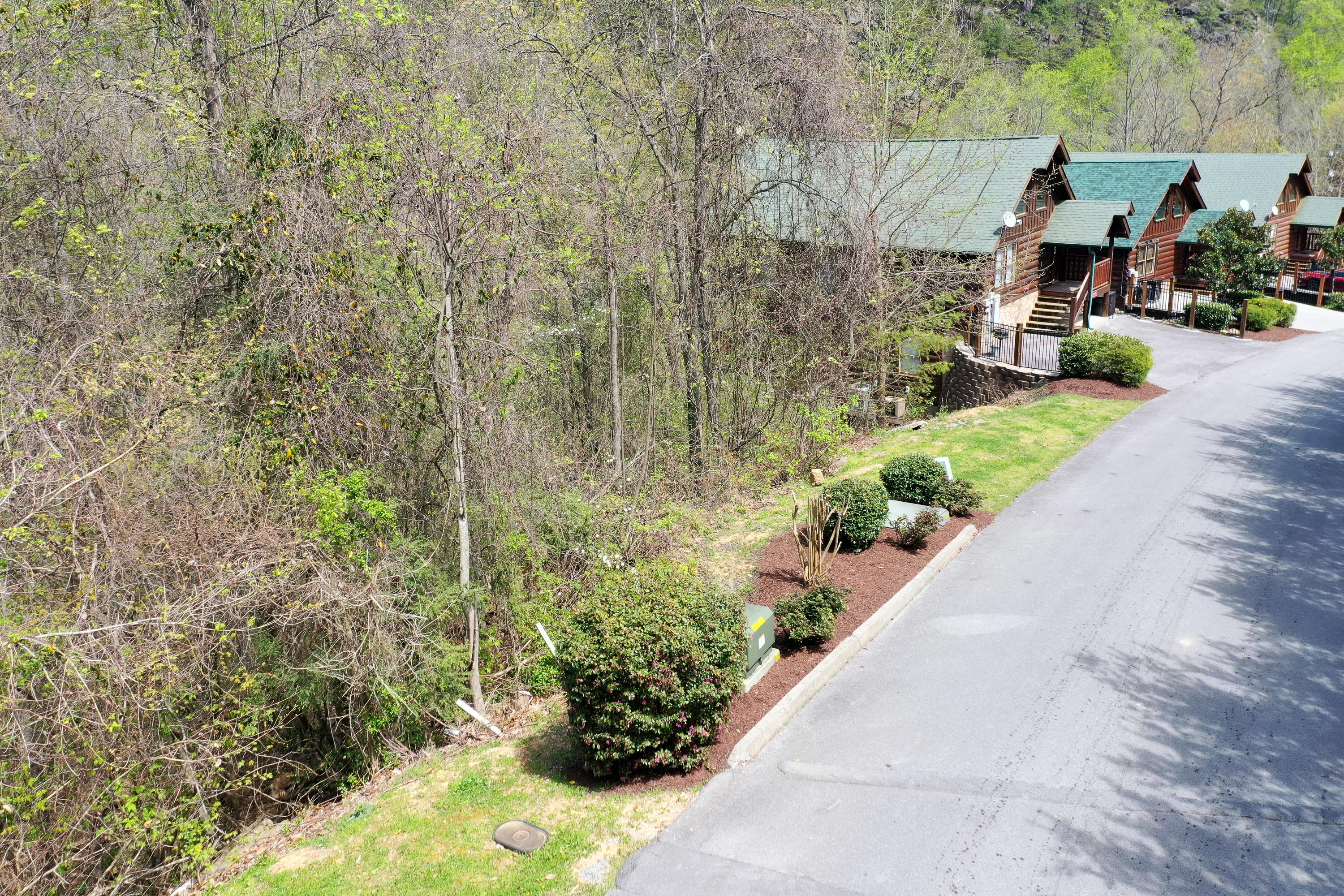 5 R Black Bear Cub Way Sevierville, TN 37862 - Photo 2 of 10 DSC_2564-2
