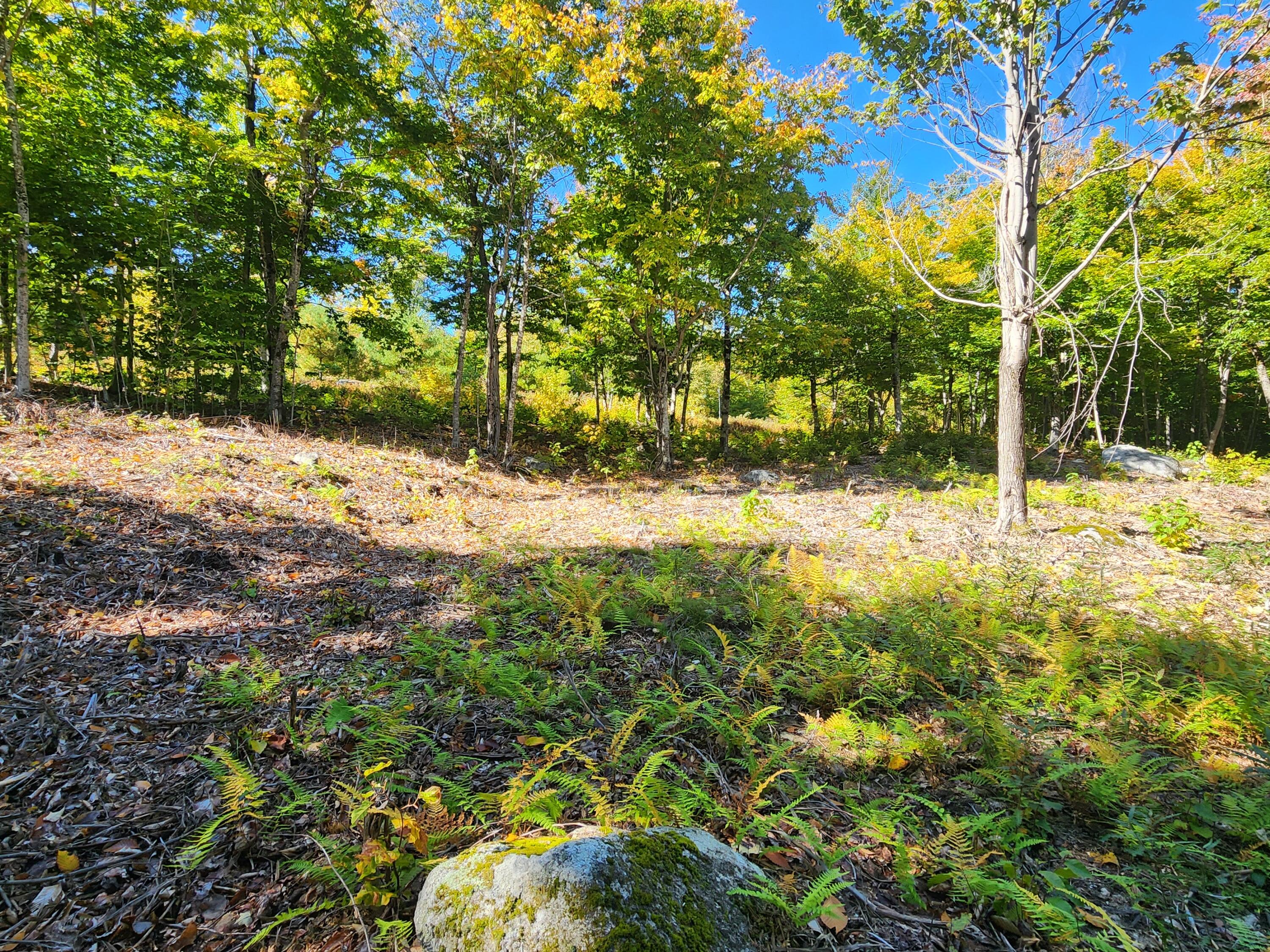 Lot 6-2 Old Elder Road Gray, ME 04039 - Photo 11 of 11 20241008_124016