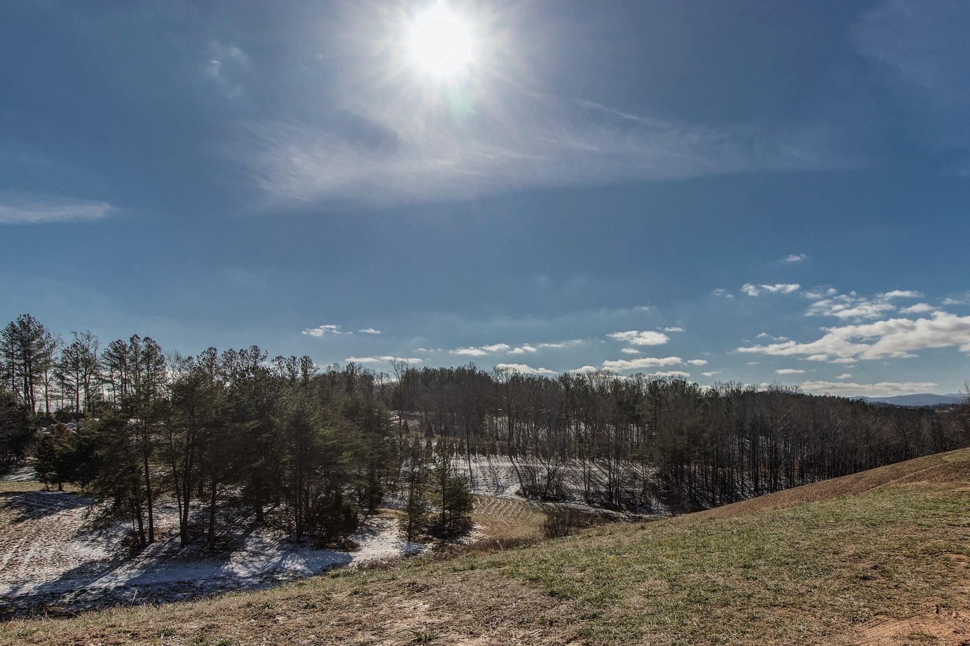 1031 Loyds Store Road Vinton, VA 24179 - Photo 31 of 37 031-297643-IMG_0048_49_50_51_52_7217840
