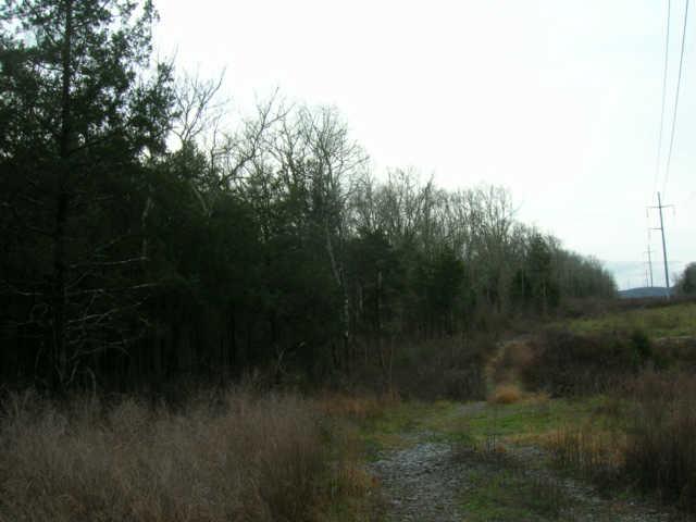 3 Burnt Knob Road Murfreesboro, TN 37129 - Photo 3 of 3 Gallery Image 3