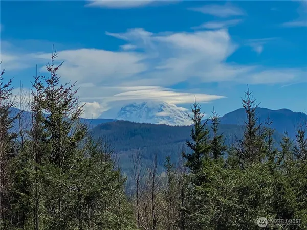 $2,495,000 | 29208 327th Way Southeast, Ravensdale, WA 98051